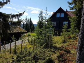 Casa San Gottardo - The Forest House, Etnedal, Etnedal